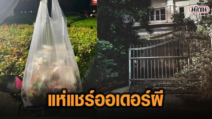 41มีัีมั