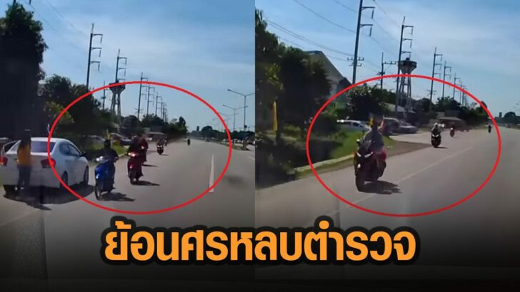 42่าฝ่ใ
