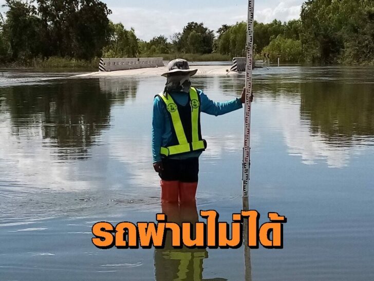 S__96395316