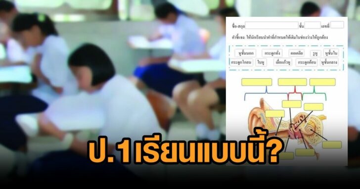 การบ้านป1