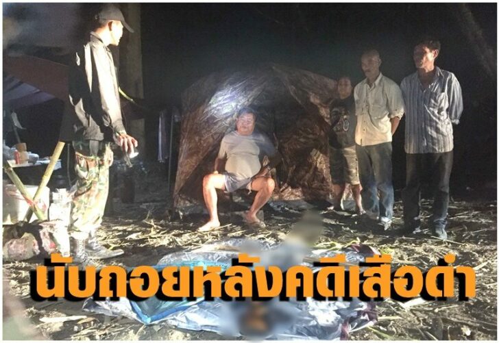 คดีเสือดำ