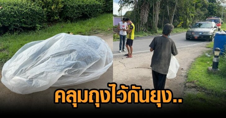 คลุมถุง