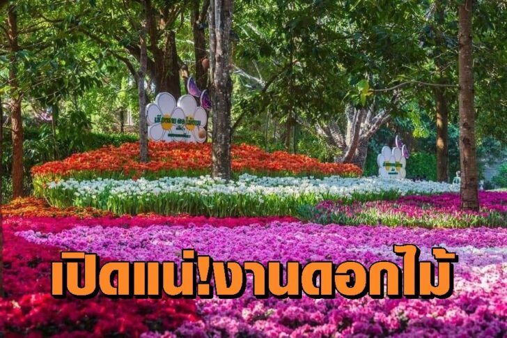 งานดอกไม้