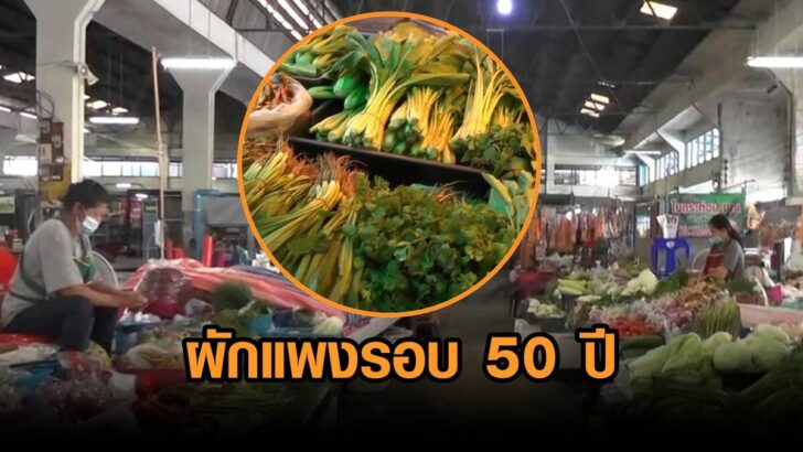 งานออกแบบที่ไม่มีชื่อ (31)