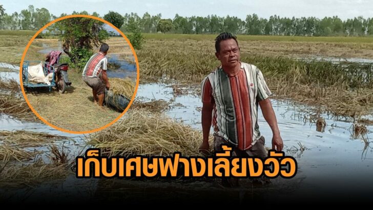 งานออกแบบที่ไม่มีชื่อ (59)
