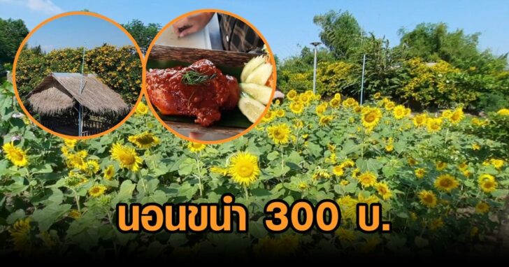 งานออกแบบที่ไม่มีชื่อ (79)