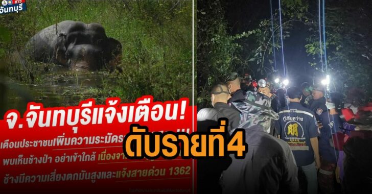 ช้างป่า-ทำร้าย-ดับ-รายที่-4