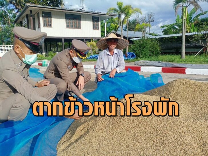 ตากข้าวหน้าโรงพัก