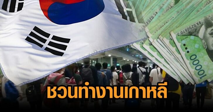 ทำงานเกาหลี64
