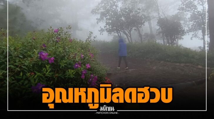 บบ000005