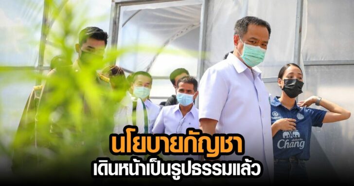 ปกข่าว