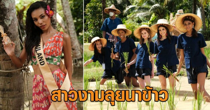 ปกเฟซสาวงามลุยนาข้าว
