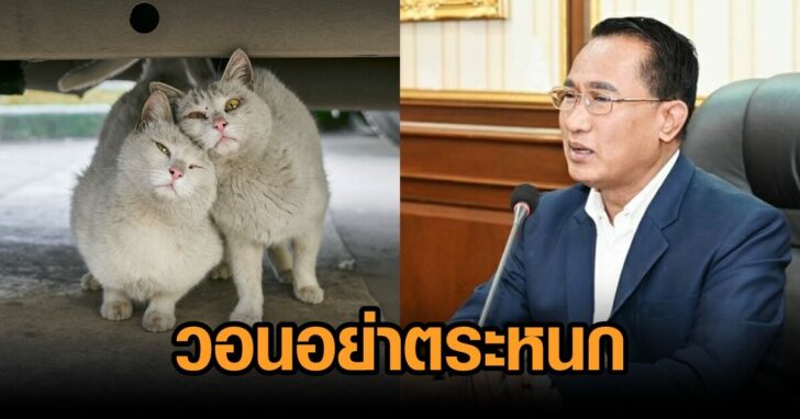 ปศุสัตว์-วอนอย่าตระหนก