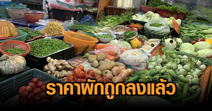 ผักถูกลงแล้ว