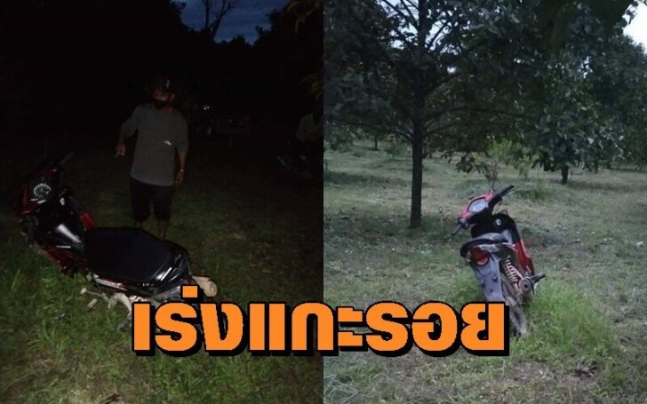 ฟัน2