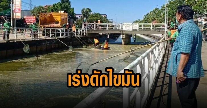 มหาสารคามเร่งดักไขมัน