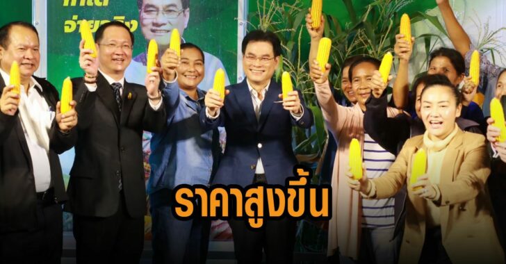 ราคาข้าวโพดเลี้ยงสัตว์สูงขึ้น