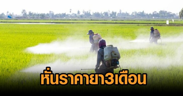 ราคายา