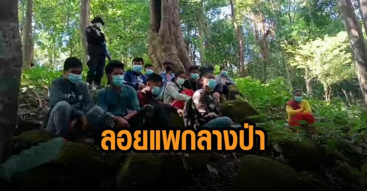 ลอยแพเมียนมา-กลางป่า