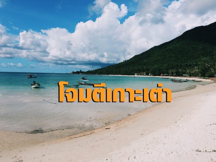เกาะเต่า1