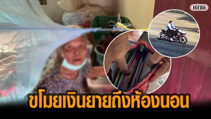 เพนกวิน25656