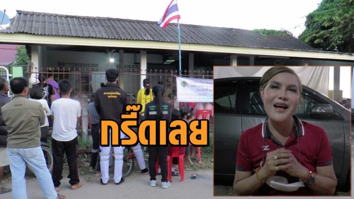 แพนด้ากรี๊ด