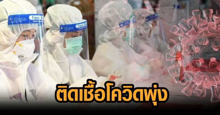 โควิด-วันน้ี