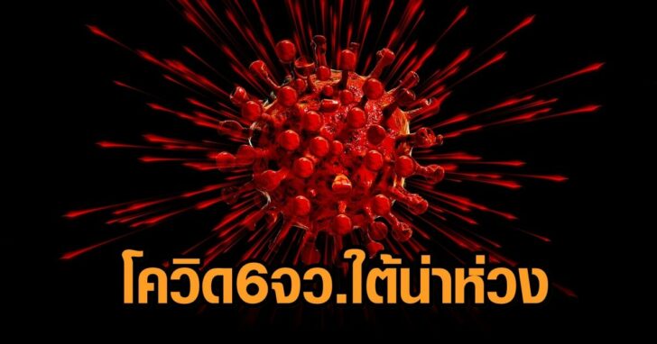 โควิด6จวใต้