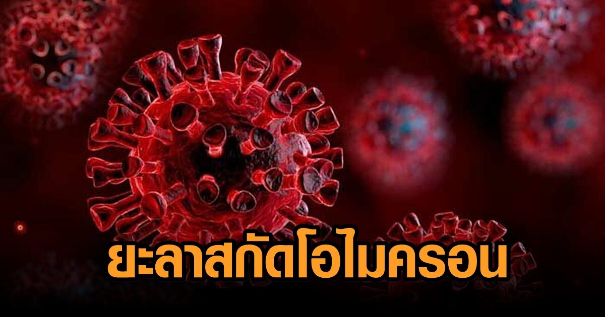พ่อเมืองยะลาวางมาตรการสกัด ‘โอไมครอน’ เข้ม หลังมาเลเซียพบผู้ป่วยแล้ว แย้มกำลังพิจารณาจัดงานปีใหม่