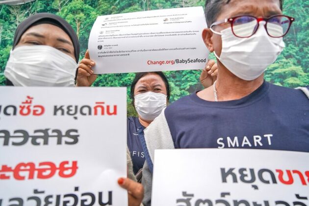 หยุดขาย ‘สัตว์น้ำวัยอ่อน’! หวั่นปลาหมดทะเล วอน ‘ซุปเปอร์มาร์เก็ต’ ฟังเสียงประมงพื้นบ้าน