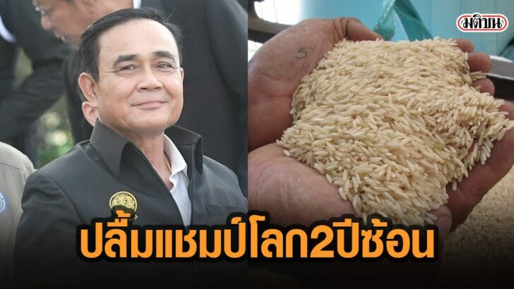 16พัมะ