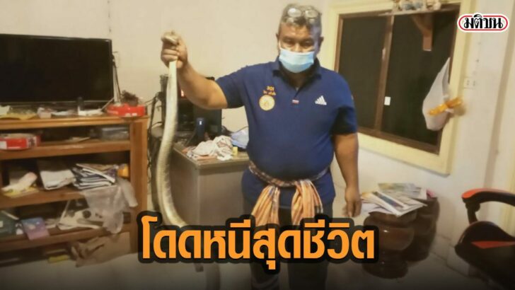 3ดั-ท้เะท
