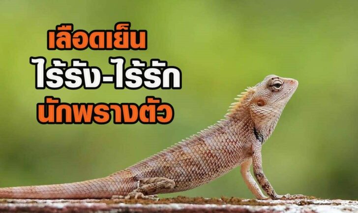 55555