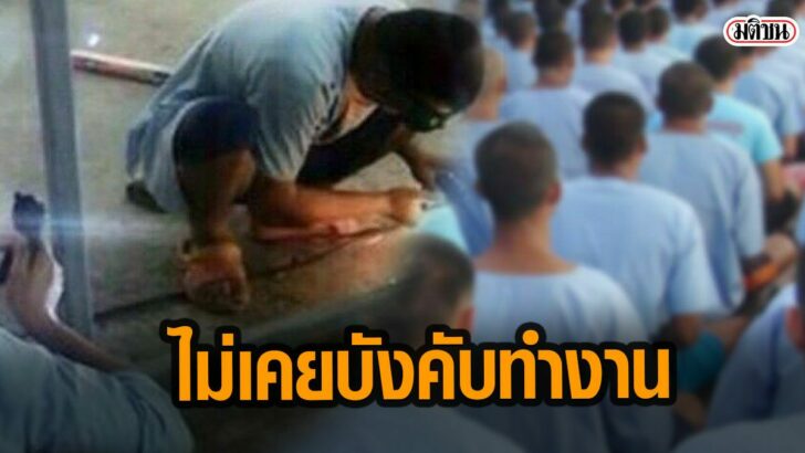 5เำพไไเพไไะเ