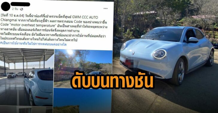good-cat-ดับบนทางชัน