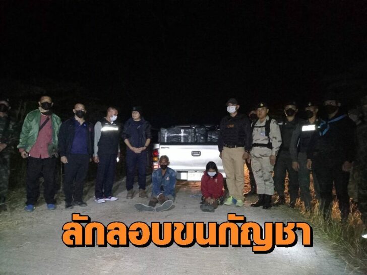 กัญชา