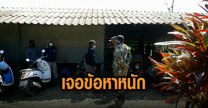 คืบหน้าช้างสีดอโดนไฟช็อต