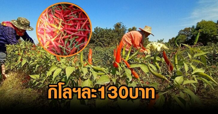 งานออกแบบที่ไม่มีชื่อ (2)