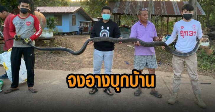 จงอางบุกบ้าน-4-เมตร