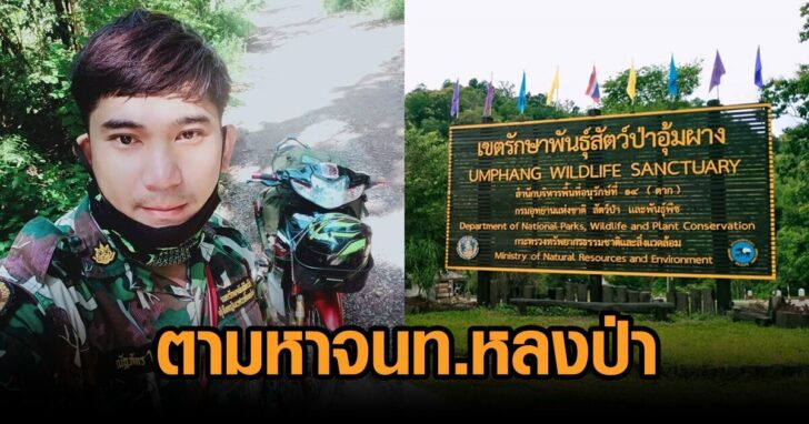 จนท.หลงป่า