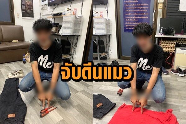 ตีนแมว