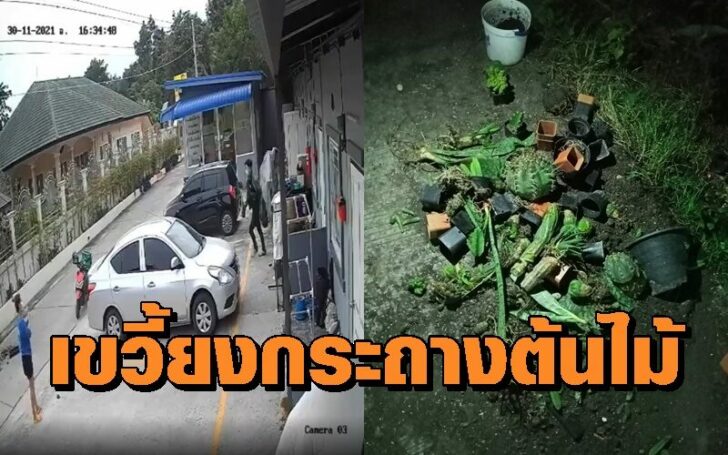 ทำลาย6