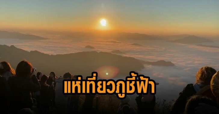 นักเที่ยวแห่เที่ยวภูชี้ฟ้า