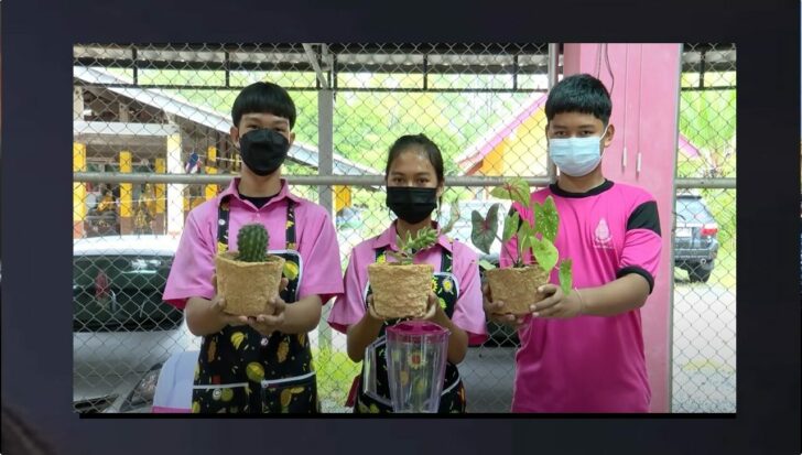 ปกดำ