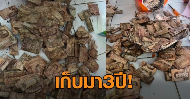 ปกเฟซเงินเยิน
