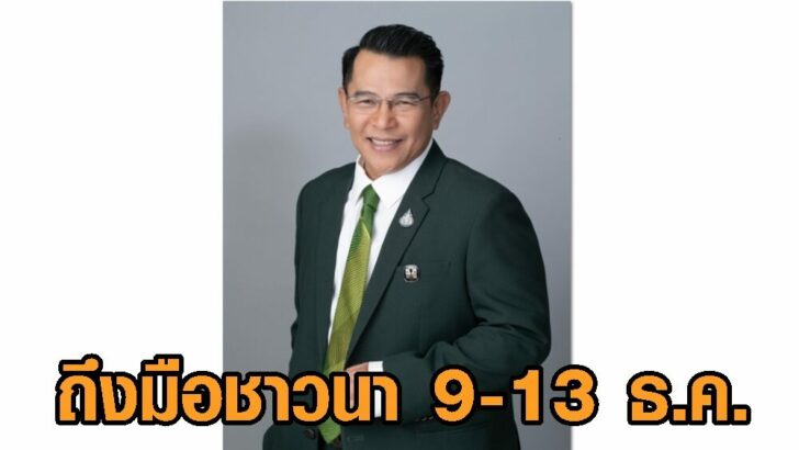 ประกันข้าว