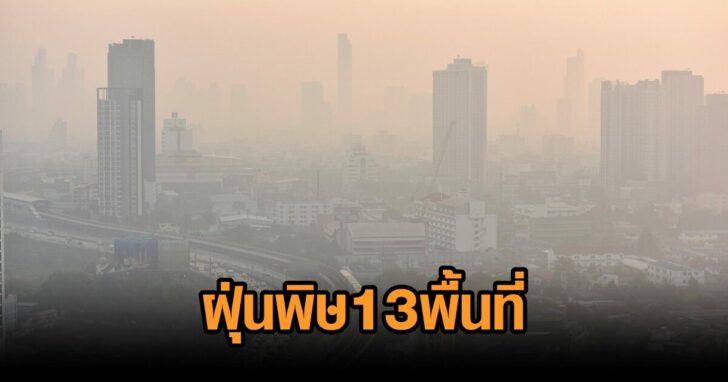 ฝุ่น-7