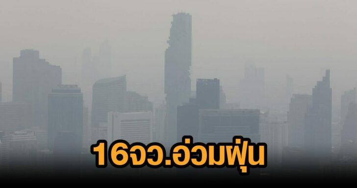 ฝุ่น11