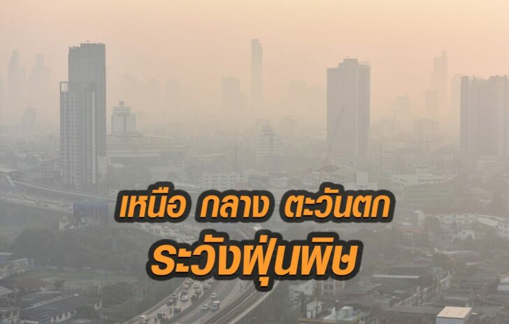 ฝุ่น2