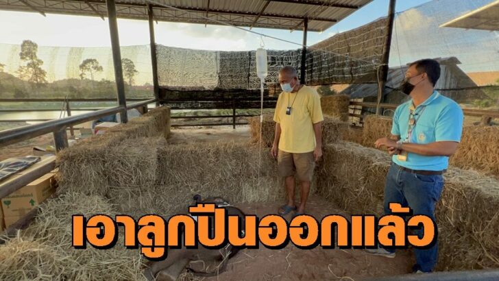 ฟ้าใส0
